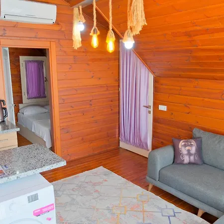 아파트호텔 Bu 3*