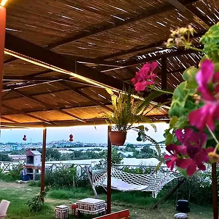 Bu 3*